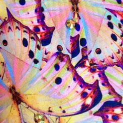 Brittany Allen BRAS Pink Butterfly Rhinestone Crew Neck Sports Bra 5 Brittany Allen BRAS Pink Butterfly Rhinestone Crew Neck Sports Bra